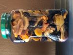 Healthy Snacks   - Nuts & Dried FRUITS